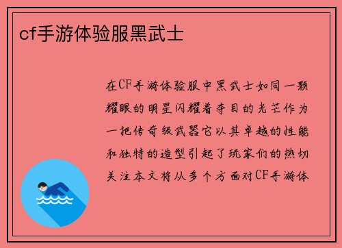 cf手游体验服黑武士