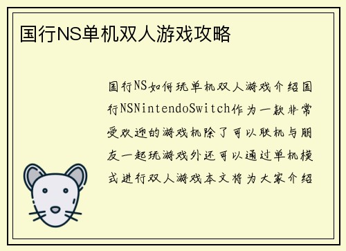 国行NS单机双人游戏攻略